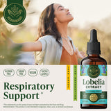 HERBAMAMA Lobelia tintura gotero: dosis rápida para consumo directo.