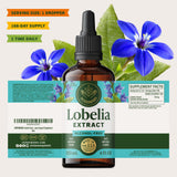 HERBAMAMA Lobelia tintura empaque sostenible: opción de envase ecoamigable.