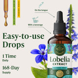 HERBAMAMA Lobelia tintura vaso-agua: fácil de mezclar en bebidas.