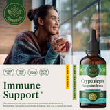 Gotero de la tintura Cryptolepis, dosificación fácil para bebidas.
