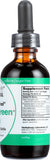 HerbaSway HerbaGreen Té Original para llevar en cualquier lugar