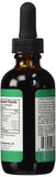 HerbaSway HerbaGreen Té Original preparado en agua fría