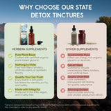 Hojas y plantas presentes en HerbEra Florida Detox para un ritual herbal