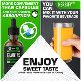 Tintura HERBIFY Cilantro para un estilo de vida saludable diario
