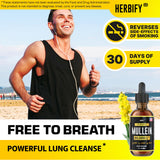 Hojas y flores de mulleín utilizadas en la mezcla de Herbify para beneficios respiratorios suaves.