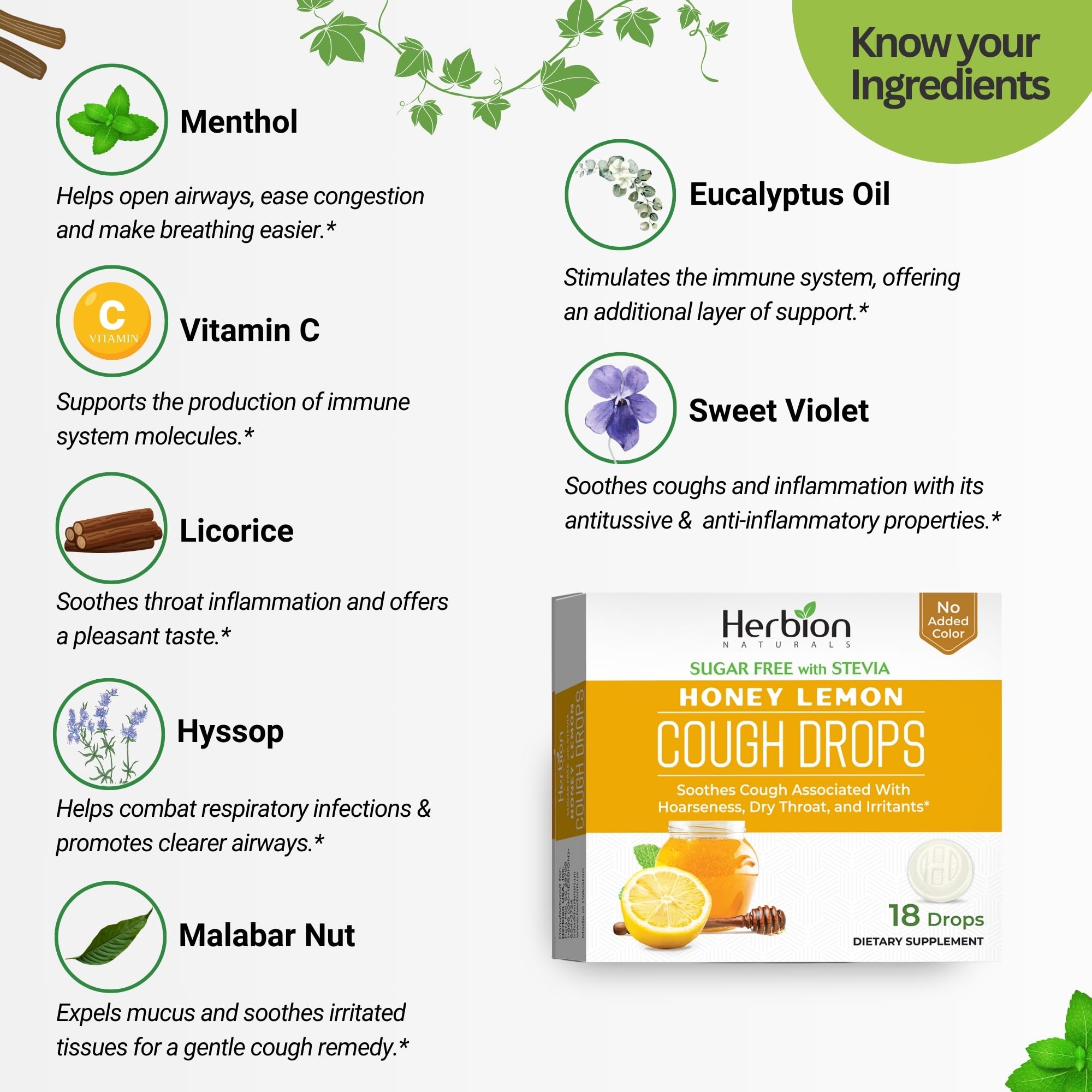 Detalle de ingredientes herbales utilizados en los caramelos Herbion Naturals.
