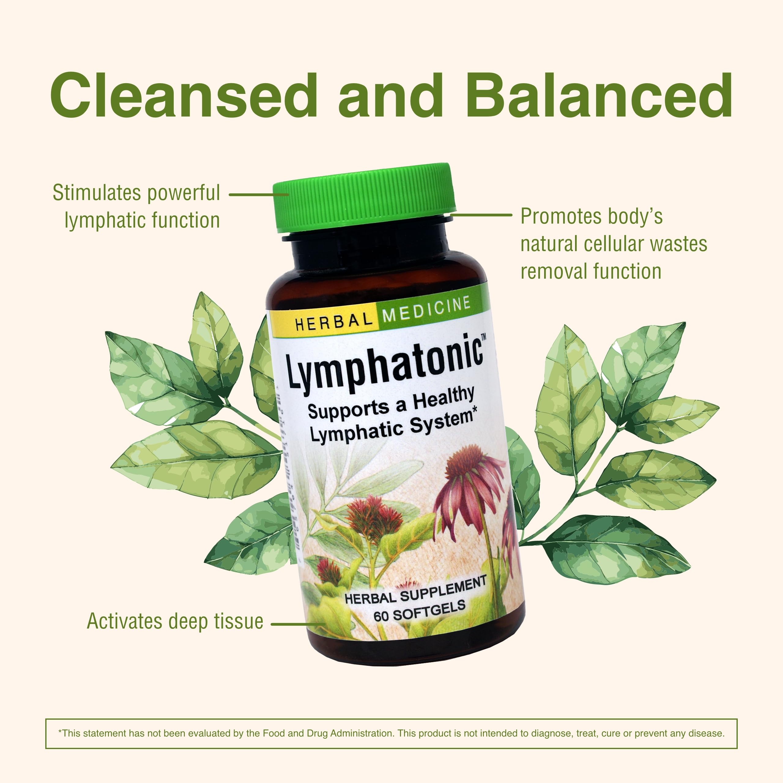 Herbs Etc. Lymphatonic etiqueta frontal para contexto de producto
