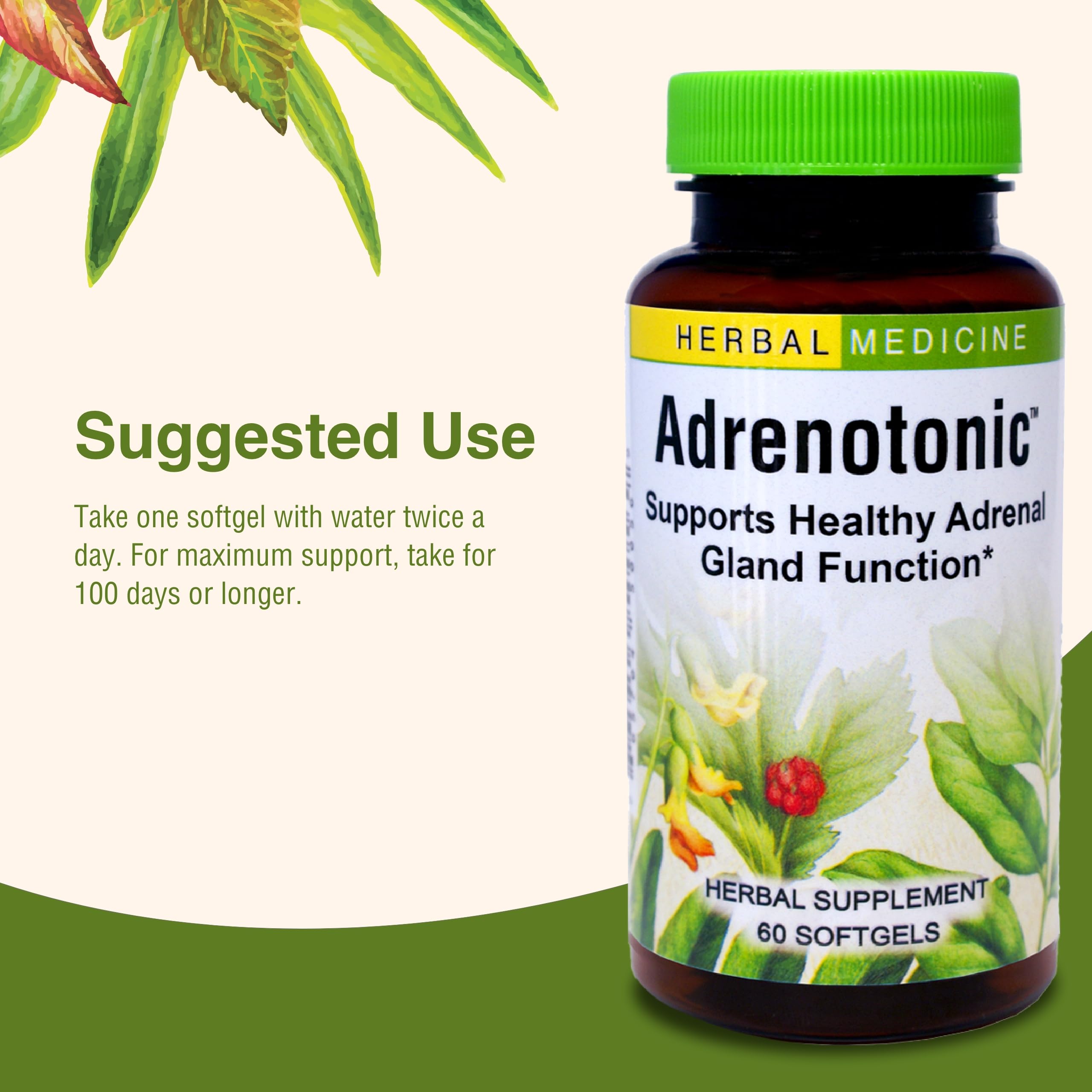 Escritorio con Adrenotonic: solución para días ocupados.