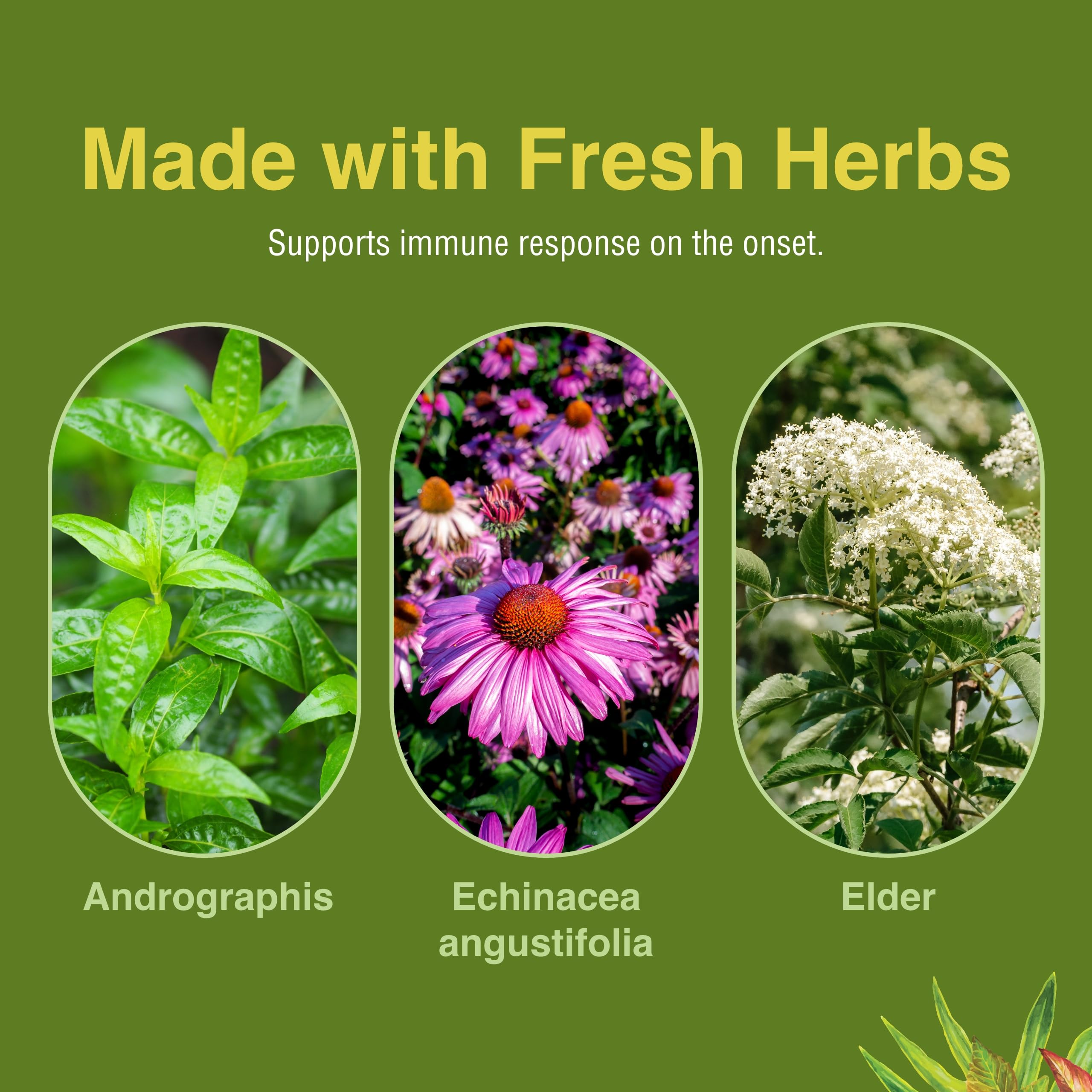 Herbs Etc. Alerta Inmunitaria, cápsulas cercanas para textura suave