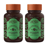 Herbs Etc. ChlorOxygen, botella con clorofila concentrada para vitalidad diaria