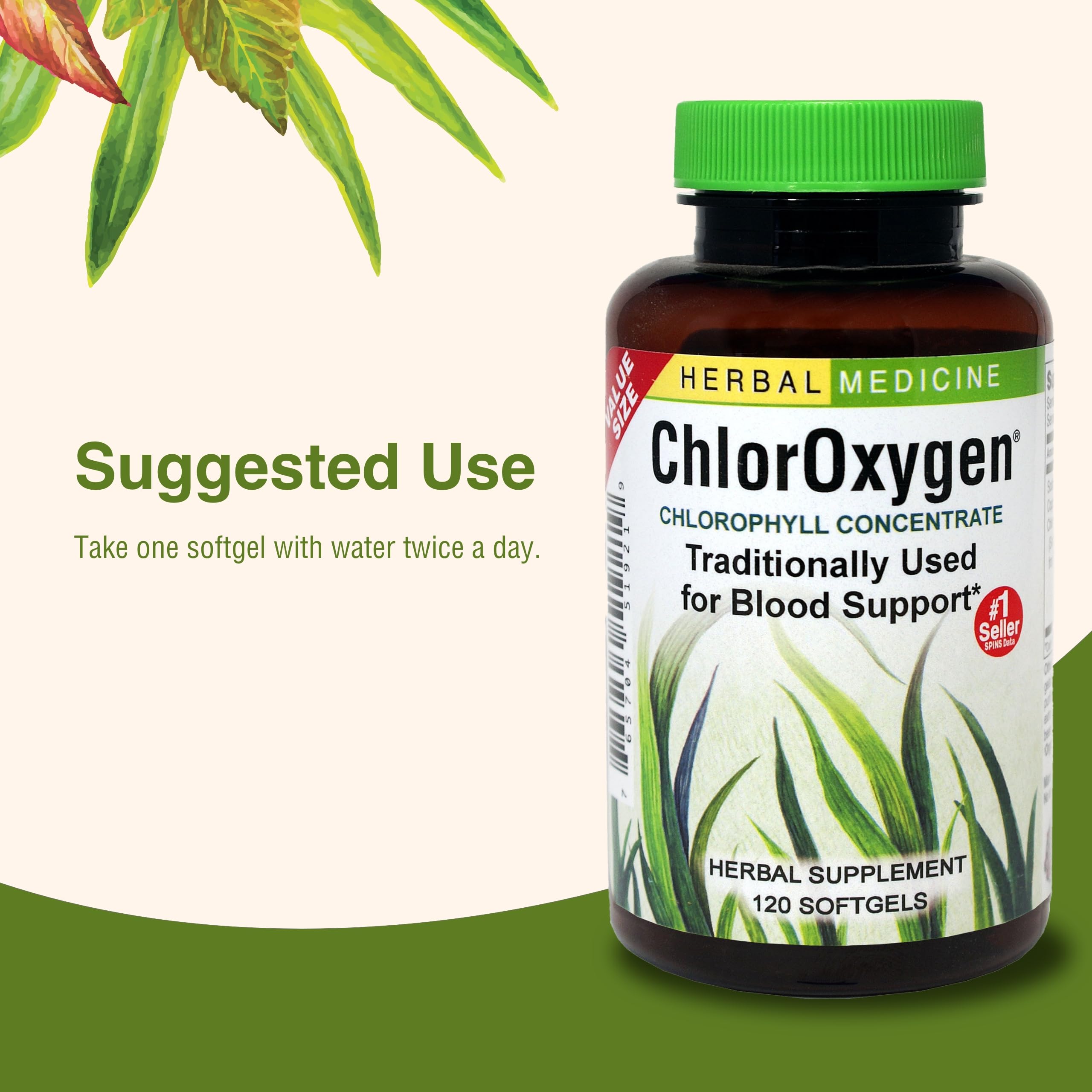 Herbs Etc. ChlorOxygen, empaque externo para almacenamiento práctico