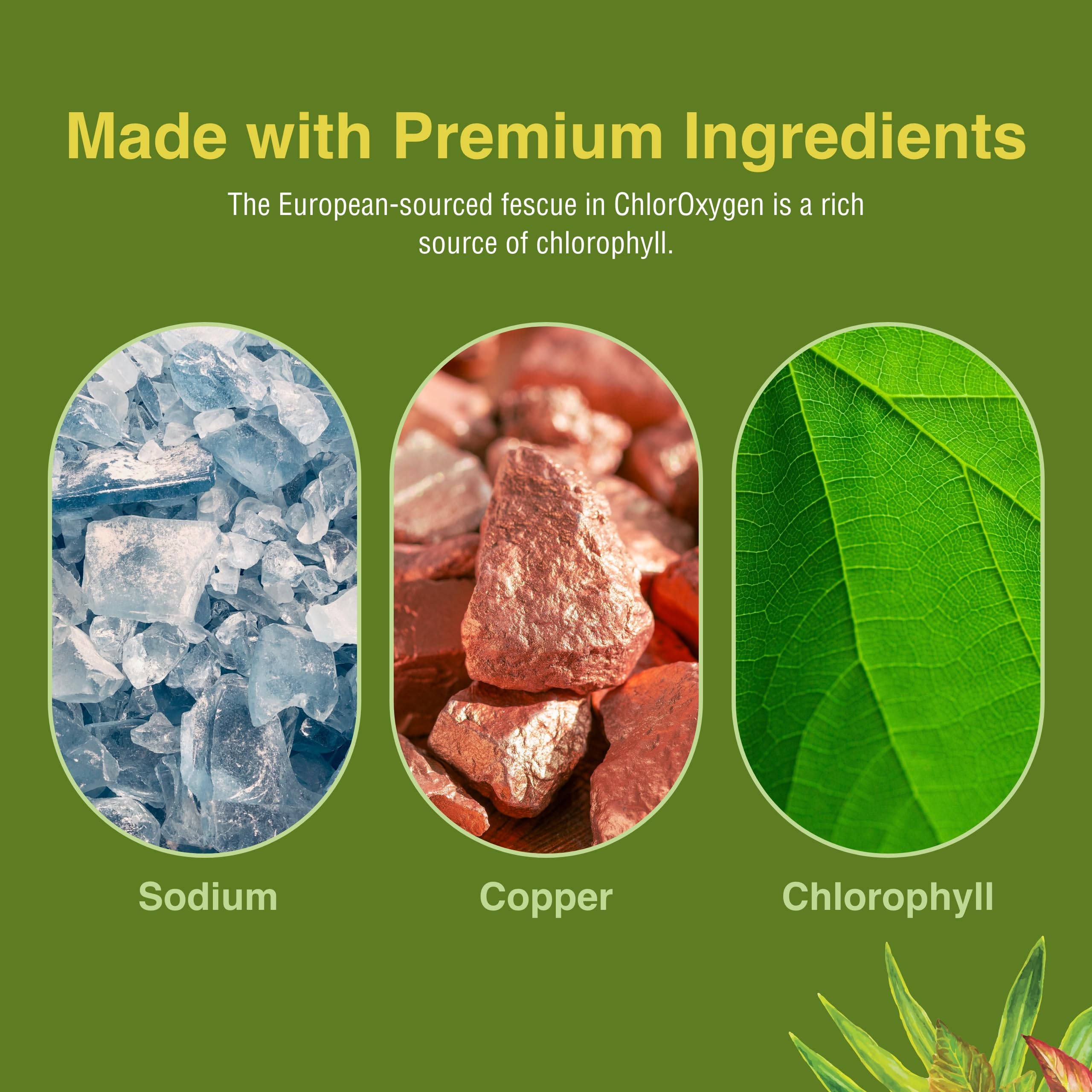 Empaque de ChlorOxygen de Herbs Etc. listo para comprar