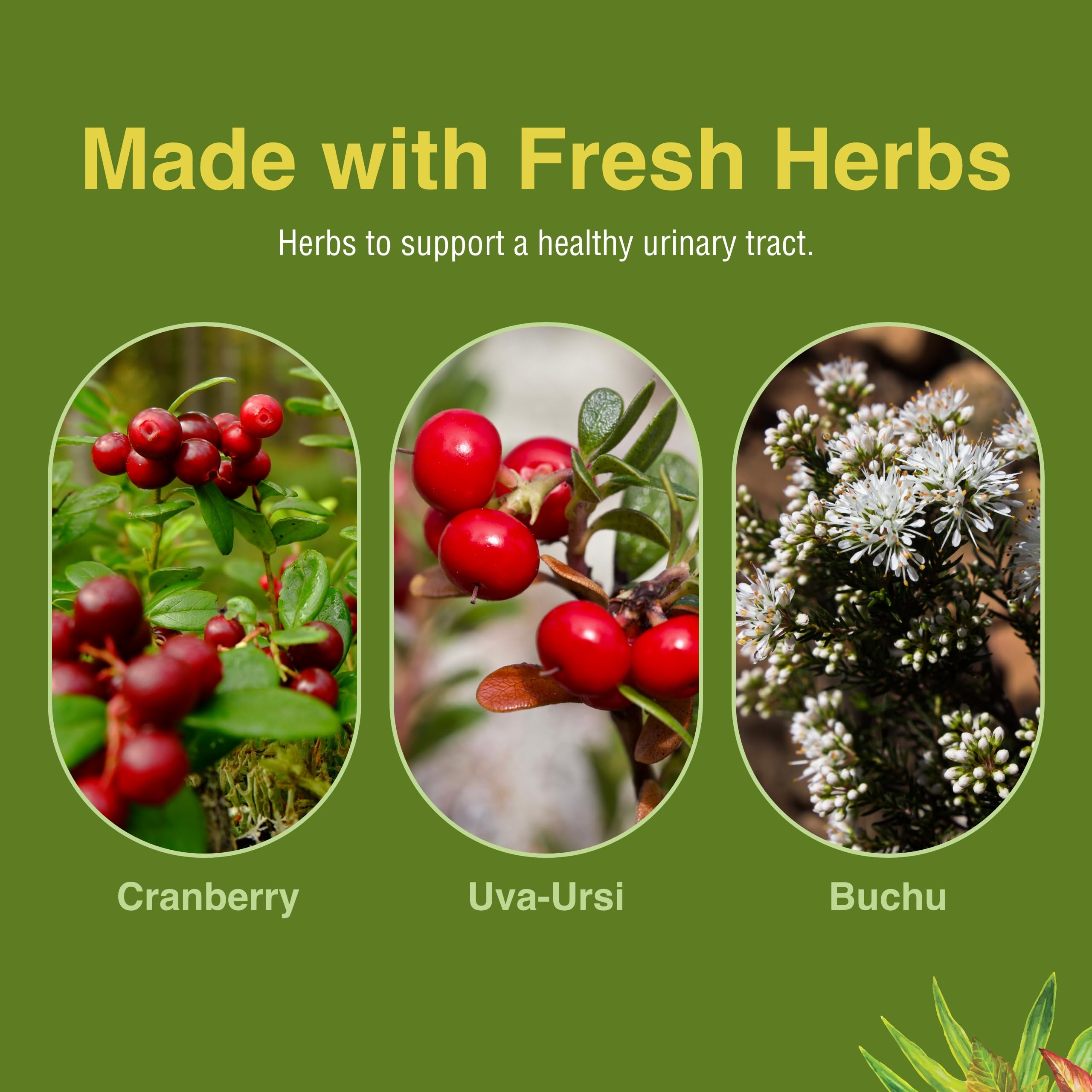 Frasco con logo de Herbs Etc. y CranBladder ReLeaf para confianza.