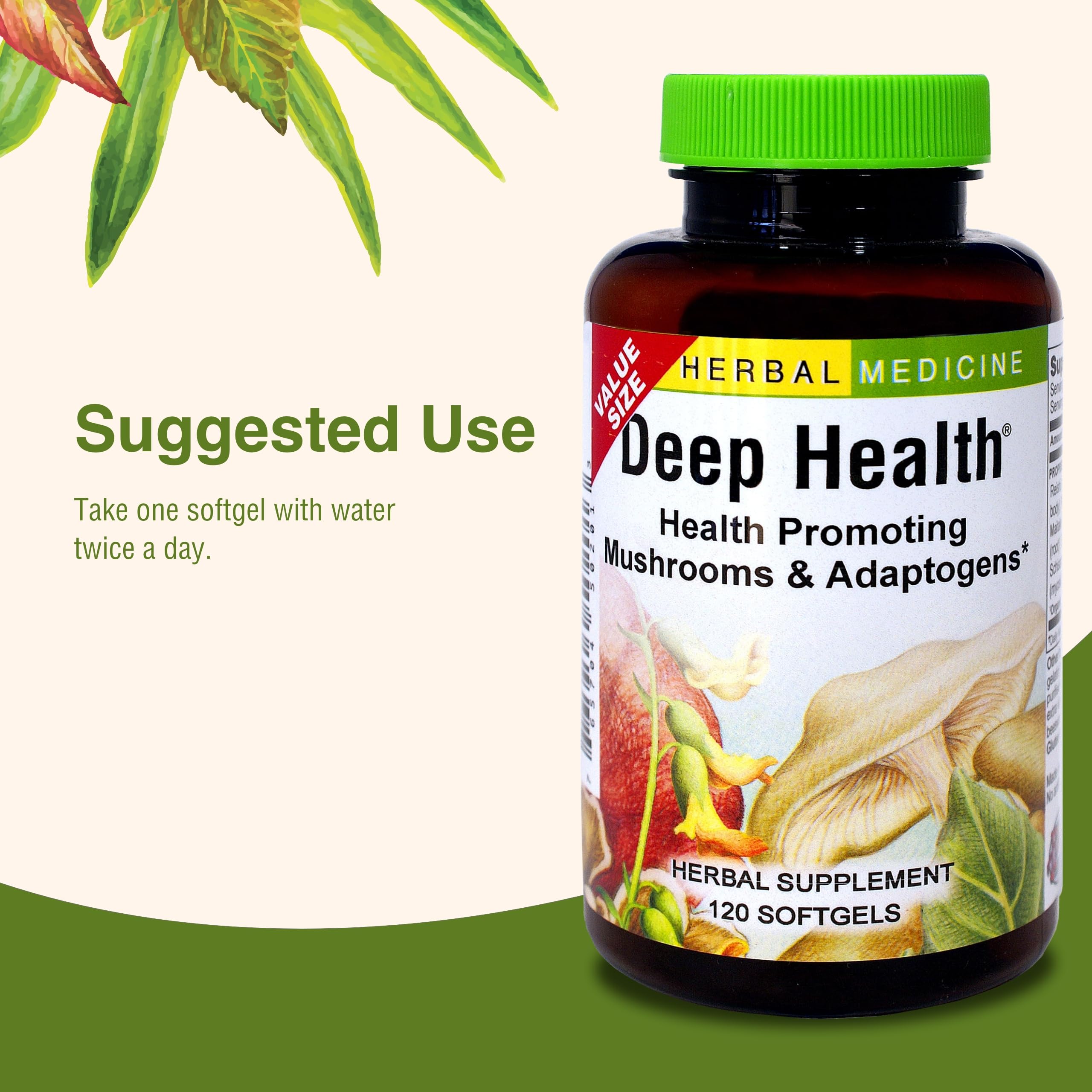 Dosis diaria recomendada de Deep Health con agua