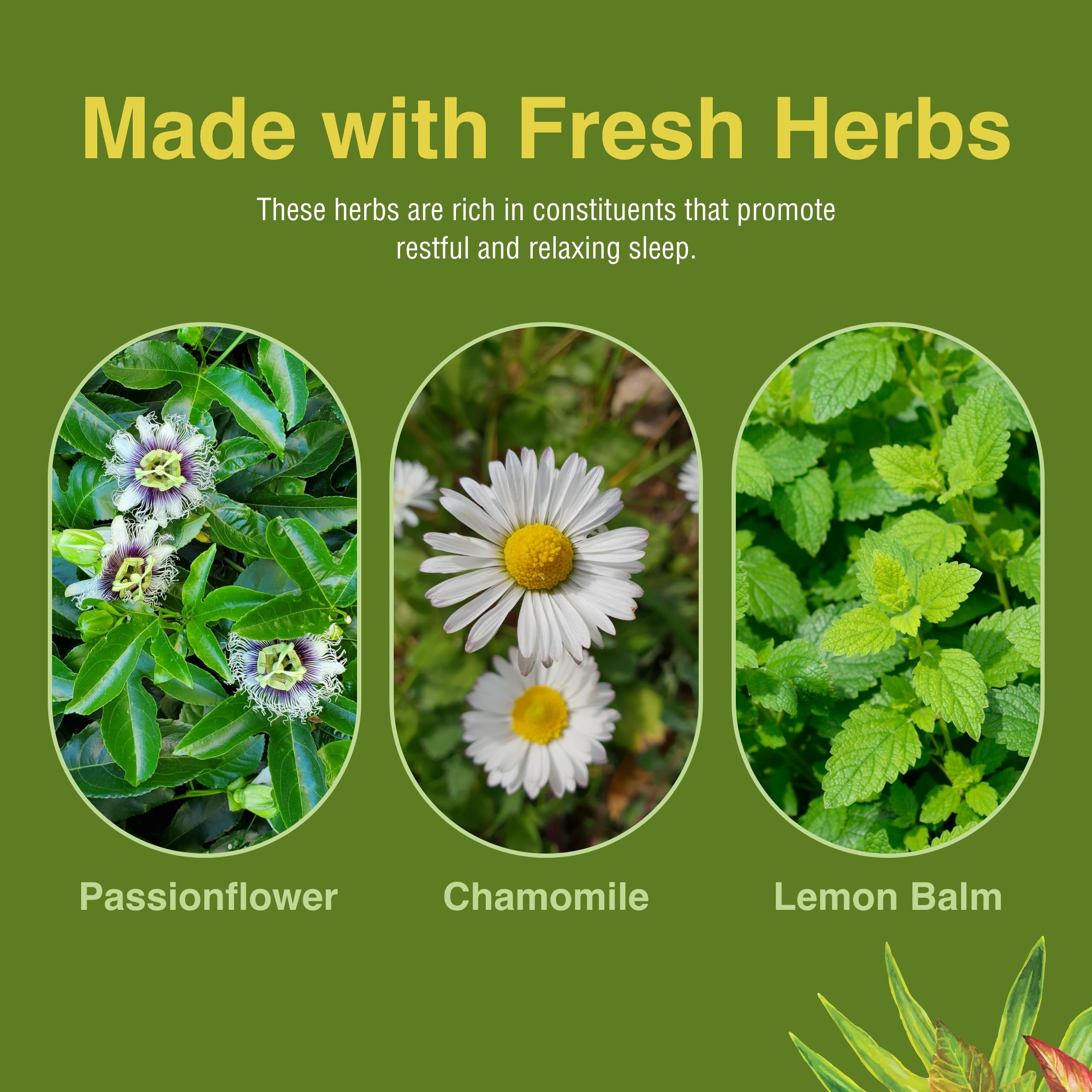 Herbs Etc. Etiqueta clara y envase práctico para uso diario