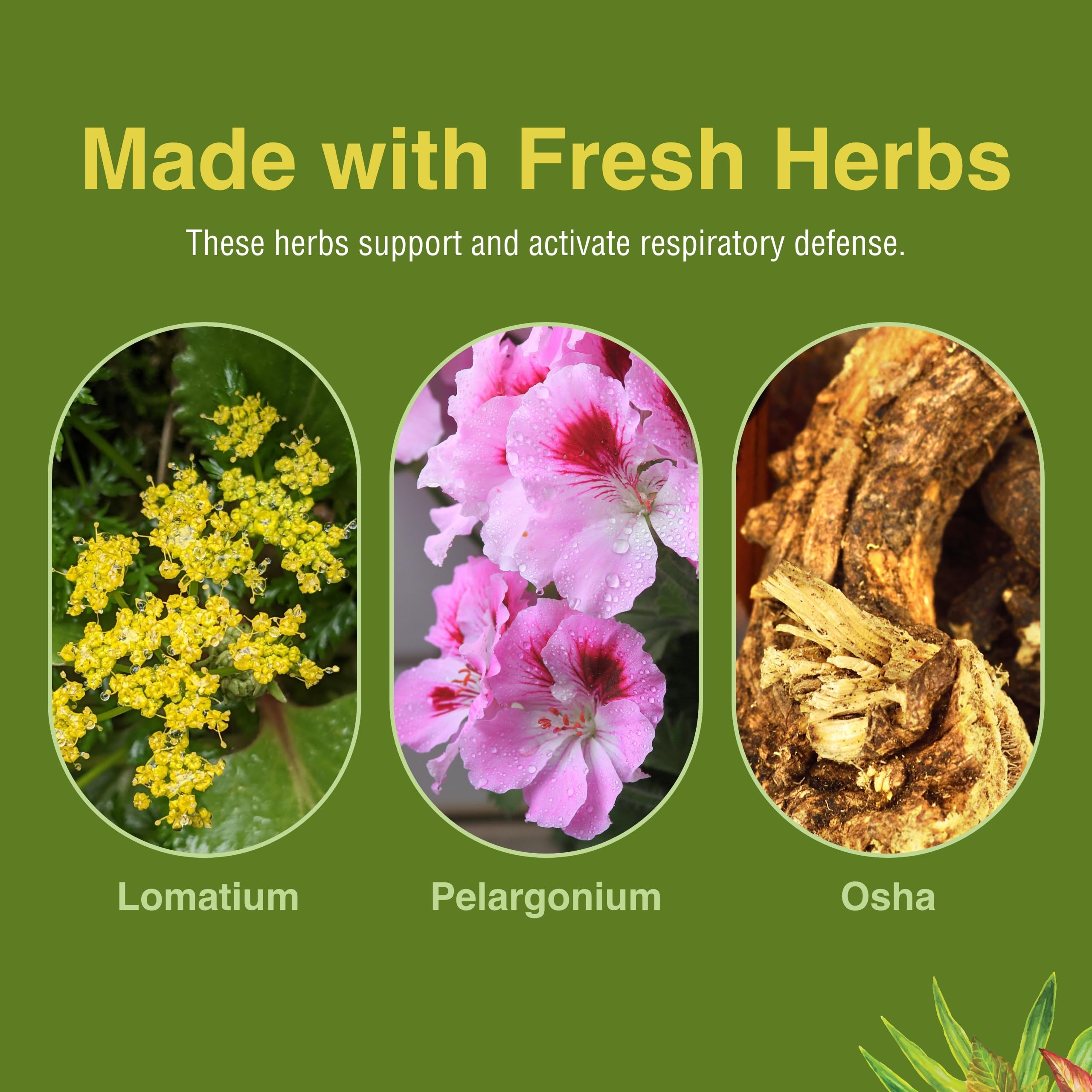 Loviral de Herbs Etc. empaque con diseño informativo