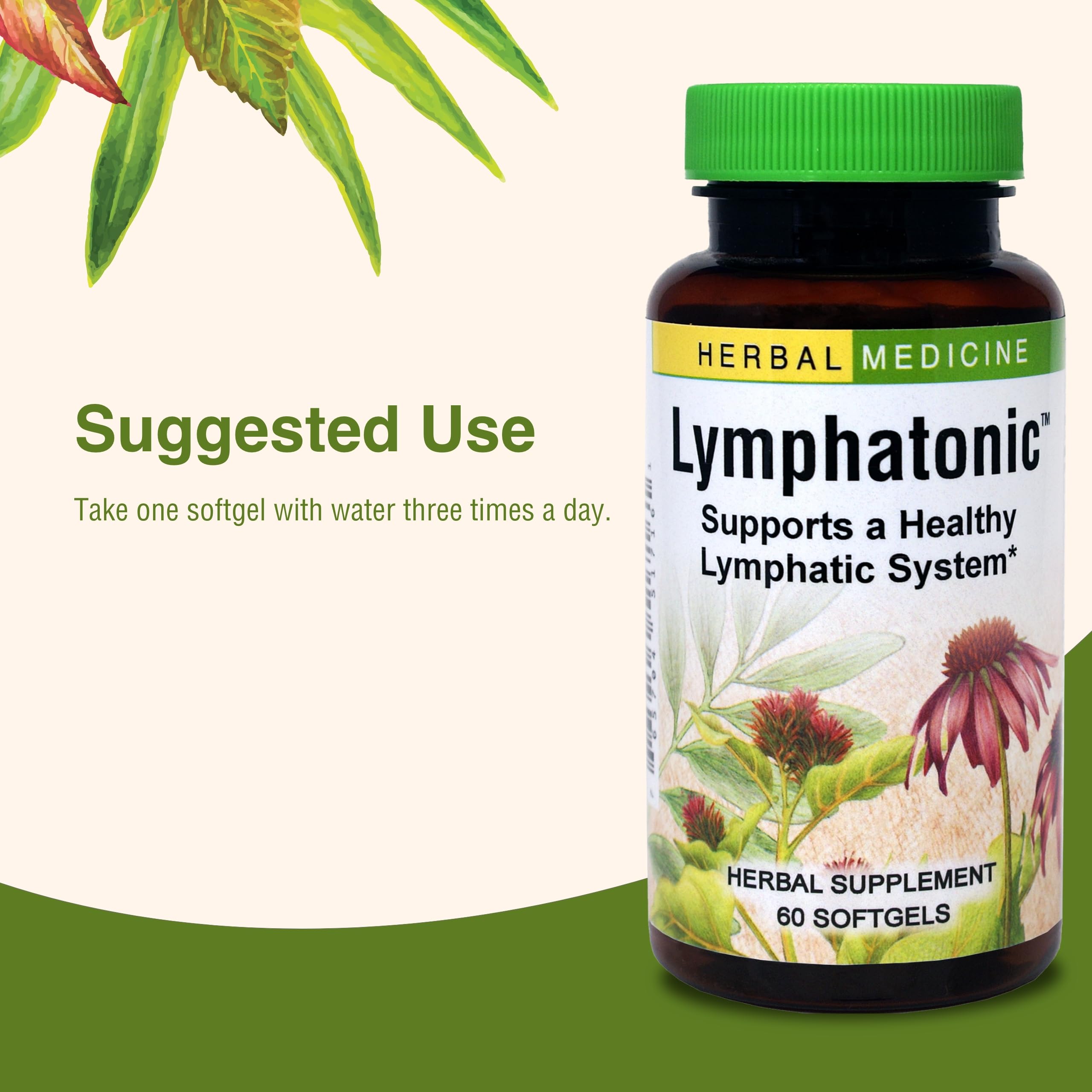 Herbs Etc. Lymphatonic: manos sosteniendo la botella, uso diario recomendado.
