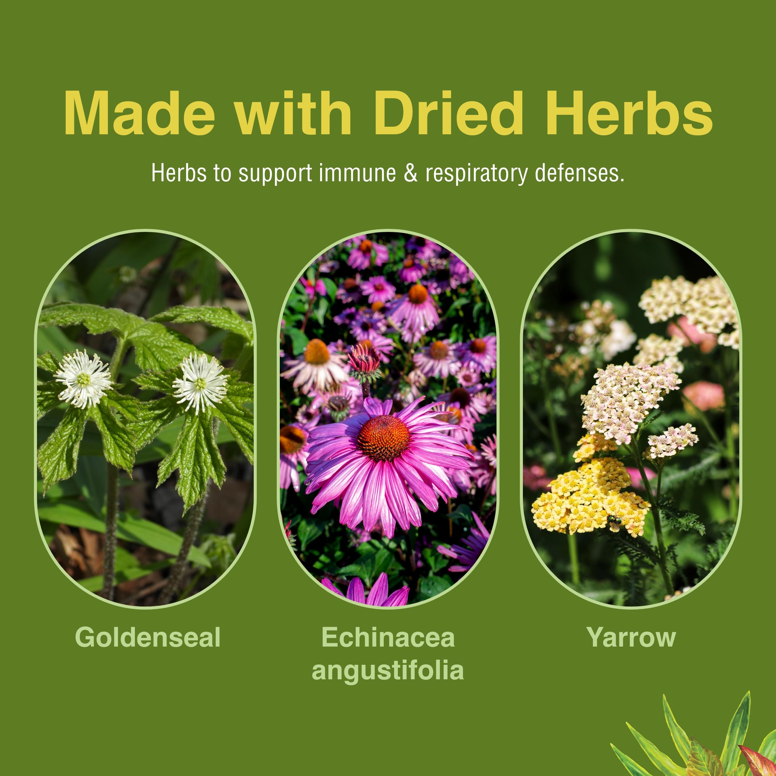 Herbs Etc. Peak Defense, frasco con ingredientes herbales de calidad