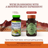 Herbs Etc. Phytocillin: cápsulas blandas para uso diario y digestión equilibrada.
