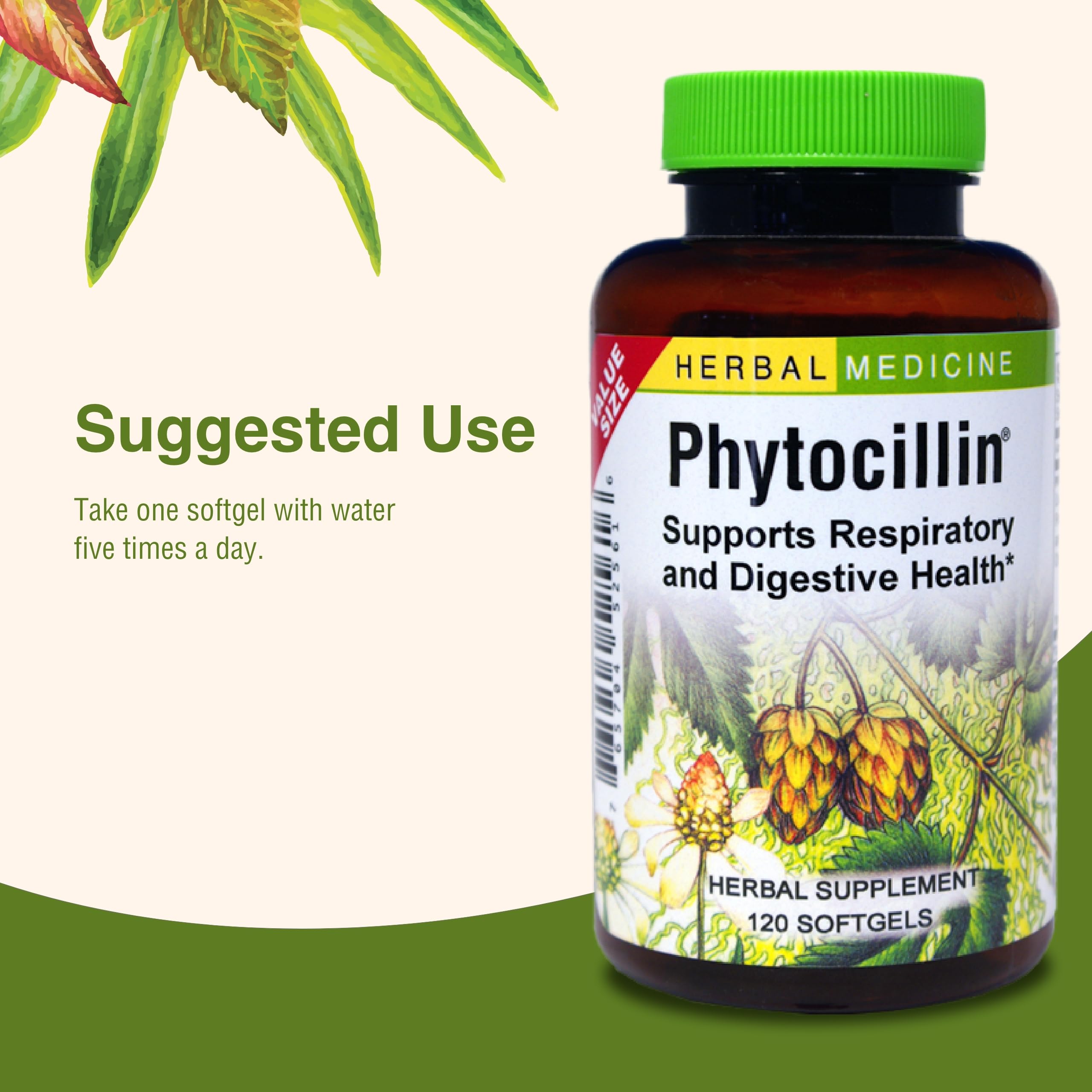 Phytocillin presenta mezcla herbal para apoyo general.