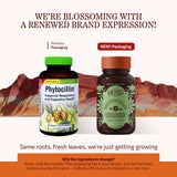 Phytocillin de Herbs Etc. en cápsulas suaves para apoyo digestivo diario.