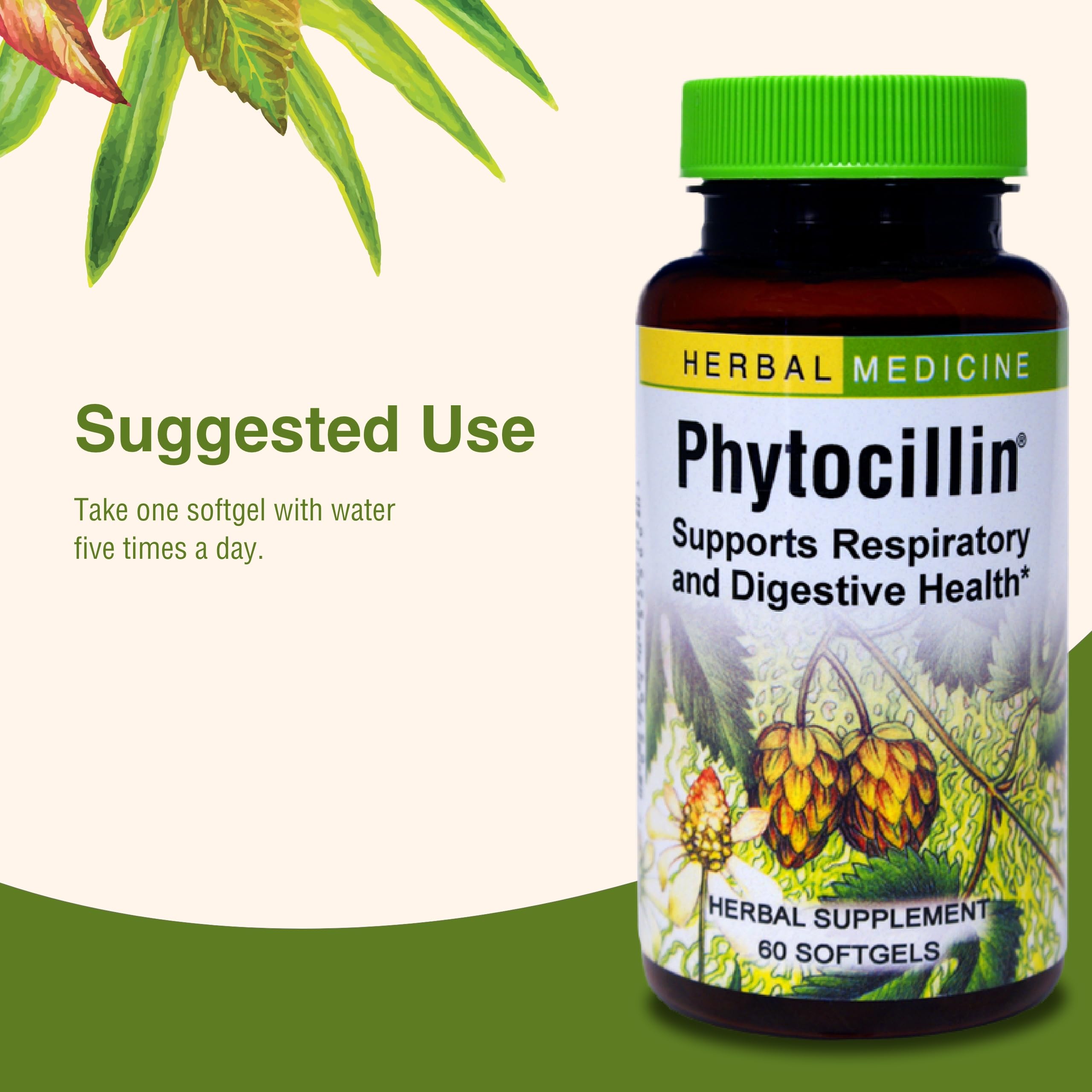 Herbs Etc. Phytocillin: echinacea destacada para resguardo estacional y digestivo.