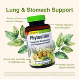 Phytocillin: etiqueta clara con ingredientes herbales.