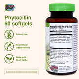 Herbs Etc. Phytocillin: etiqueta del producto, énfasis en ingredientes herbales para bienestar diario.