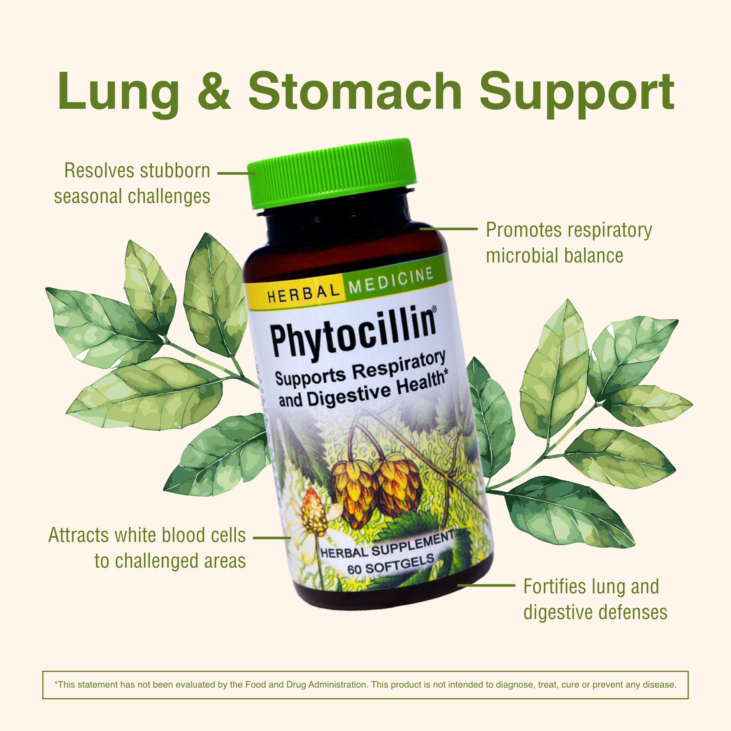 Herbs Etc. Phytocillin: usnea, ingrediente clave para apoyo respiratorio.
