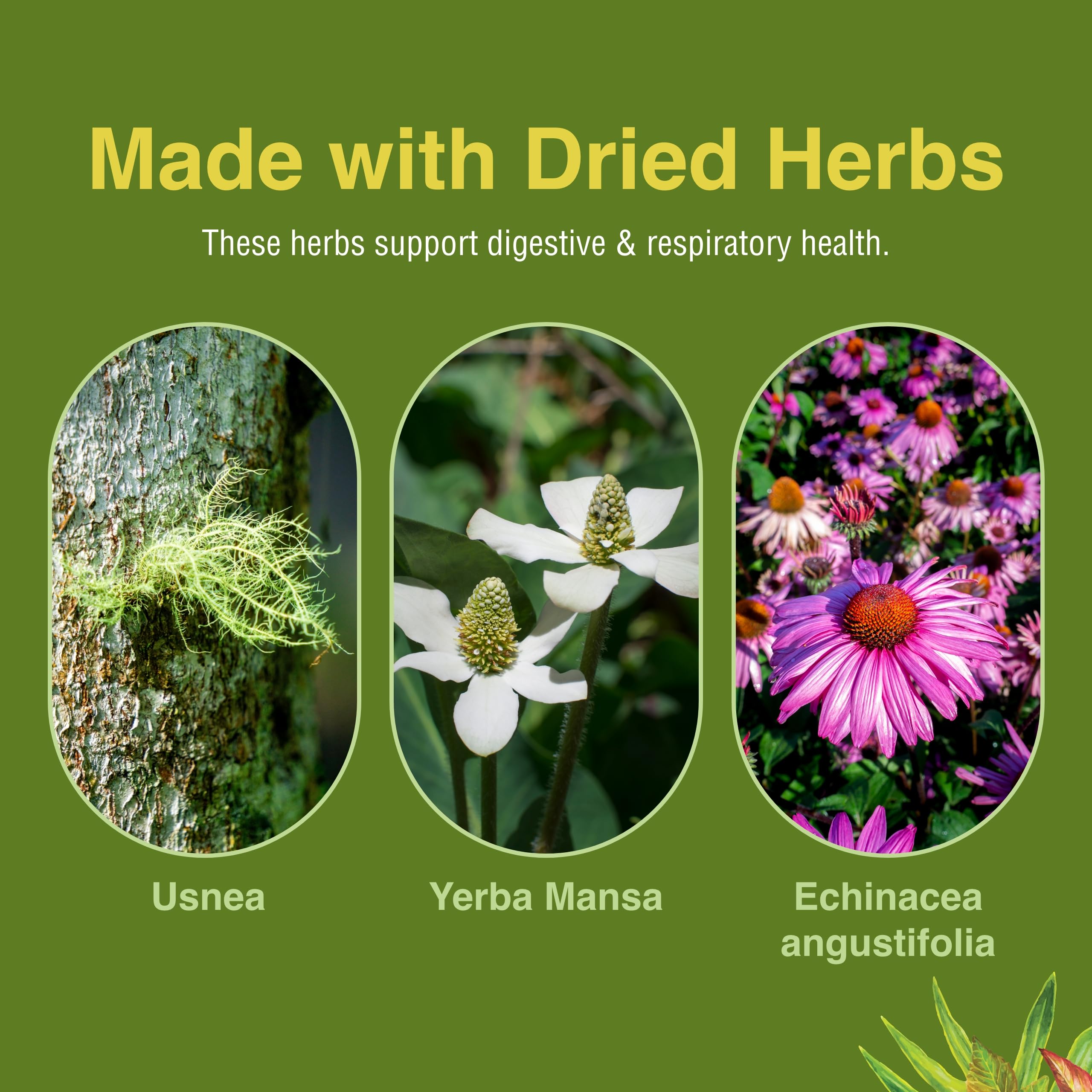 Herbs Etc. Phytocillin: yerba-mansa destacada para bienestar digestivo.