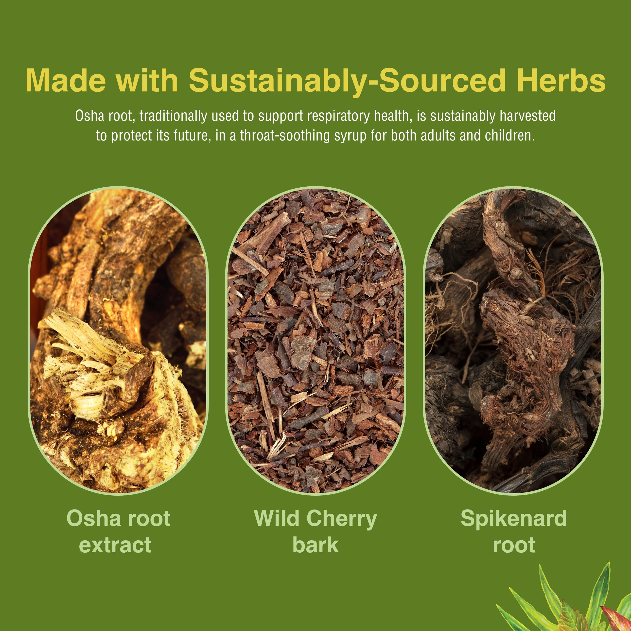 Herbs Etc. Rocky Mountain Throat Syrup, sabor herbal natural para resfriados suaves