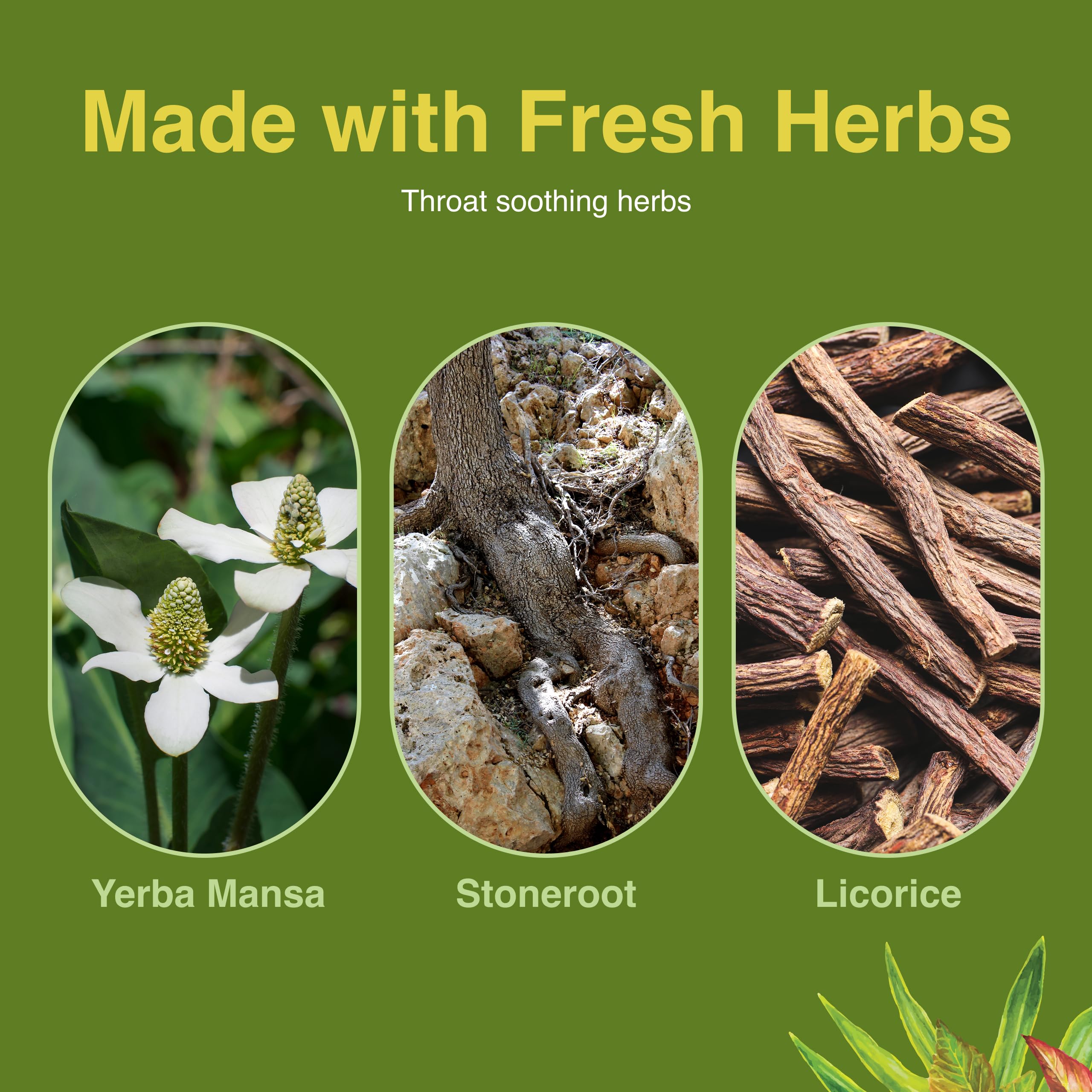 Herbs Etc. Singer's Saving Grace ingrediente natural para soporte de voz