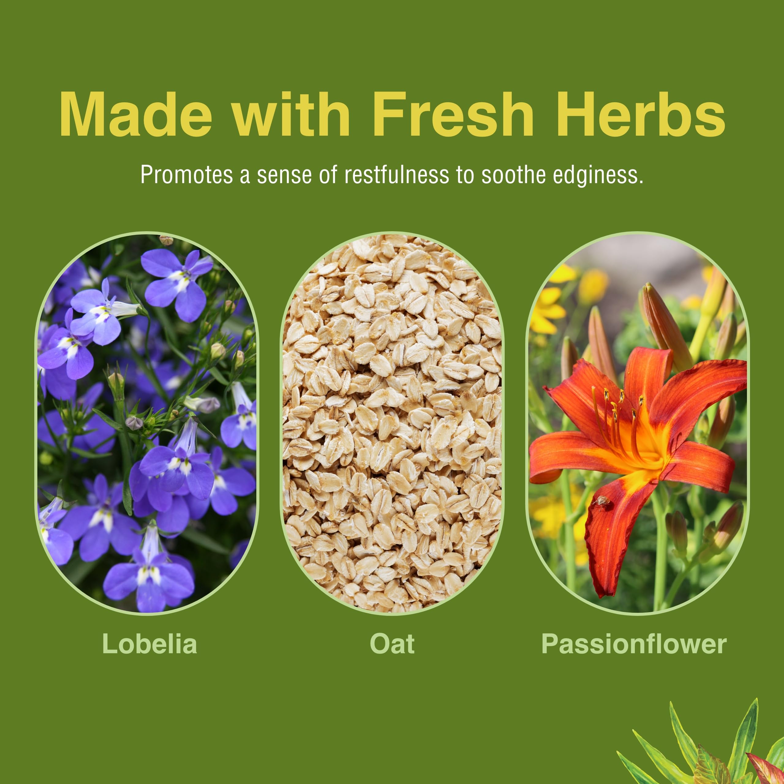Herbs Etc. Smoke Free, pasiflora destacada para apoyo calmante suave.