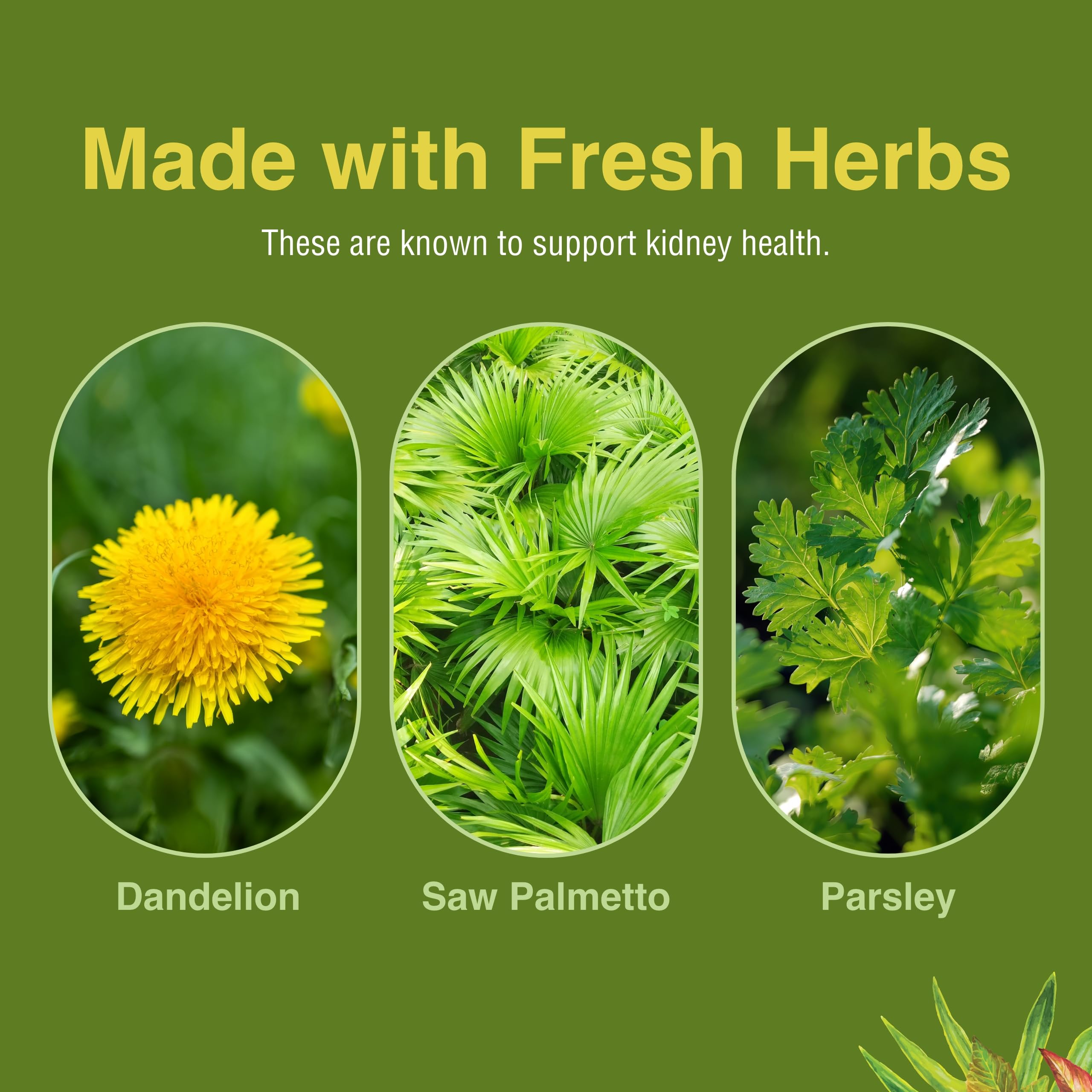 Herbs Etc Tonico Renal: empaque en caja, almacenamiento seguro y cómodo.