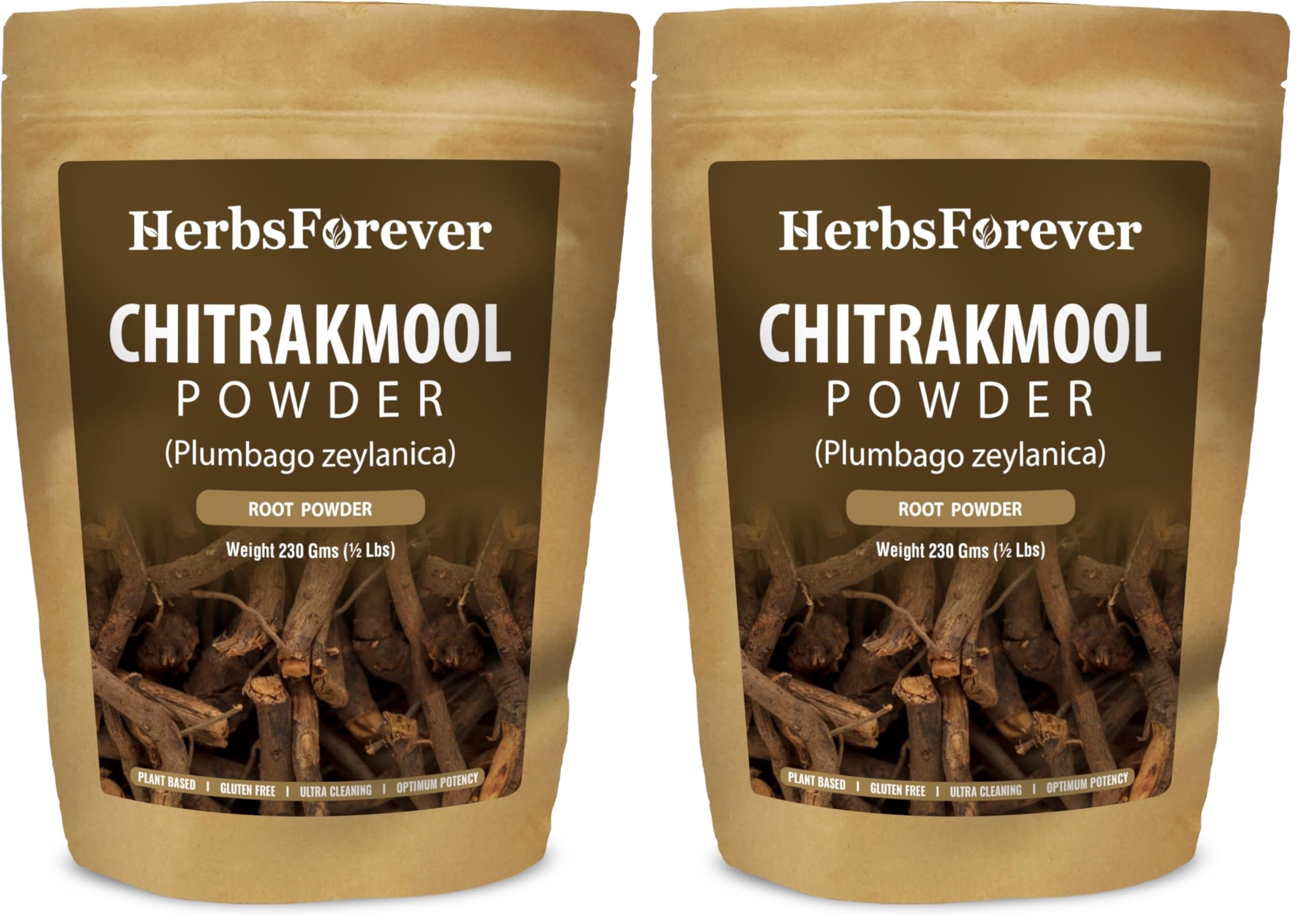 Herbsforever Chitrakmool polvo en bote para apoyo digestivo suave
