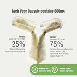 Herbsforever Gurmar cápsulas en paquete, consumo diario cómodo para un estilo de vida vegetariano.