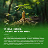 Imagen de la mezcla de plantas enteras utilizadas en HerbWHOLESOME.