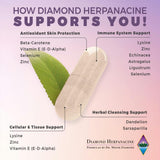 Ingredientes naturales de Herpanacine Diamante para soporte general desde dentro.