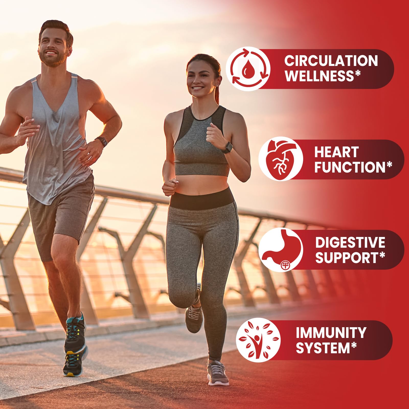 HevChay Bayas de espino: apoyo antioxidante para una vida activa.