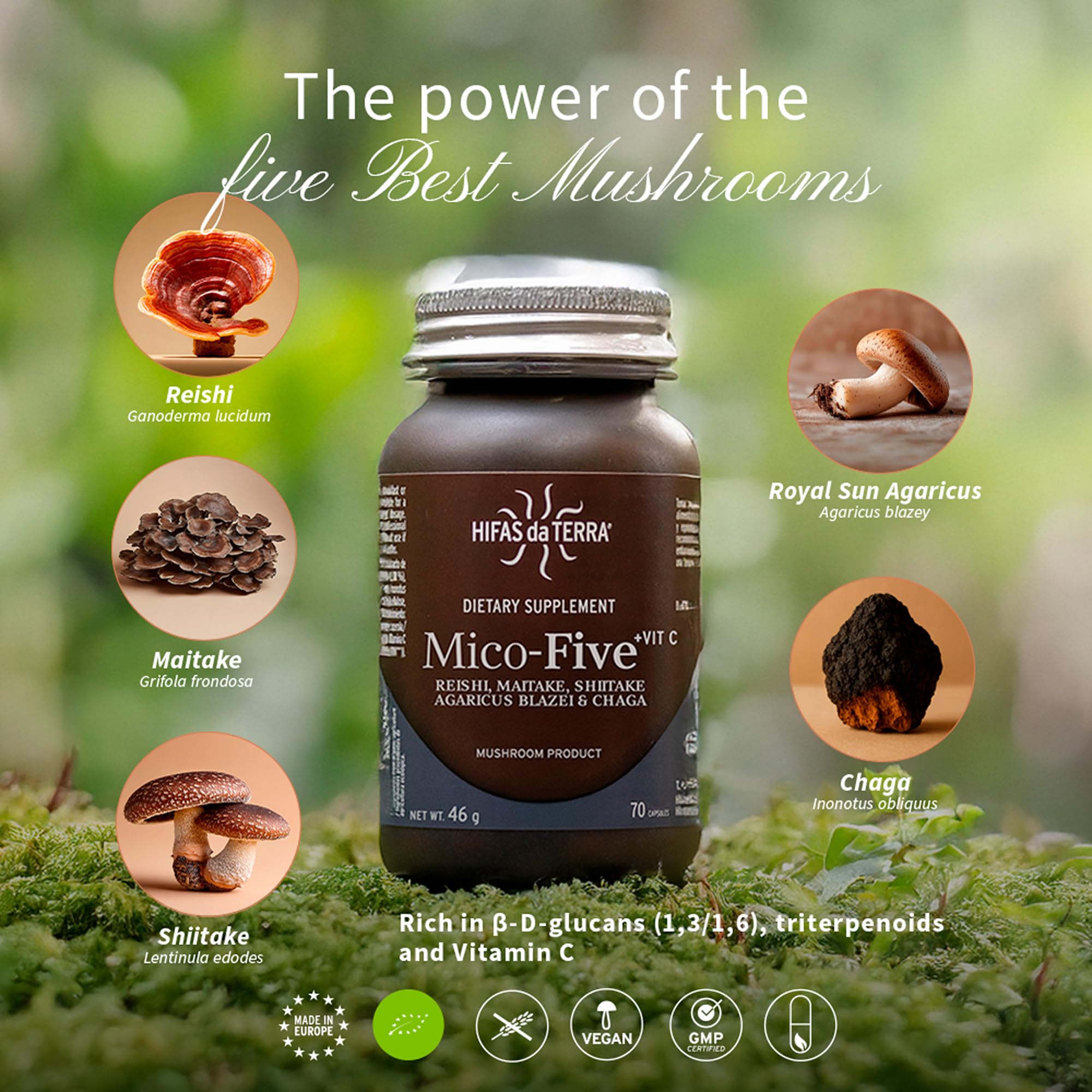 Chaga añade notas terrosas y potencia el perfil de la mezcla.