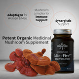 Reishi presente en Mico-Five aporta sensación de apoyo suave.
