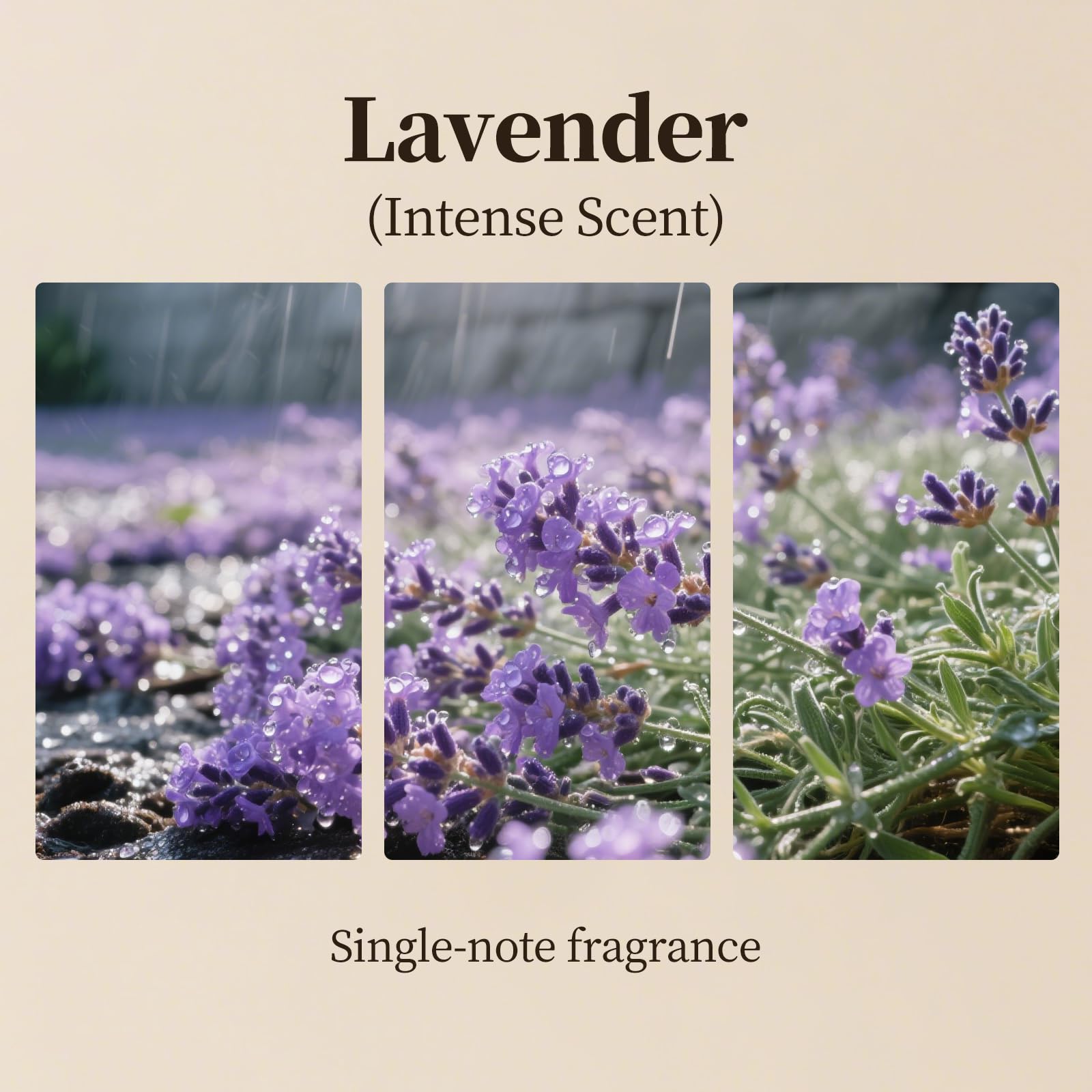 Hijoc Lavanda ambiente relajante para habitación