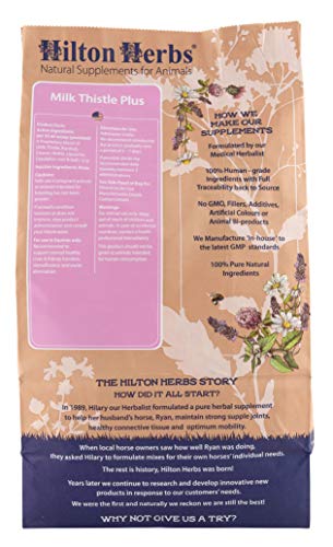 Hilton Herbs Milk Thistle Plus cápsulas: dosis diaria conveniente para uso diario
