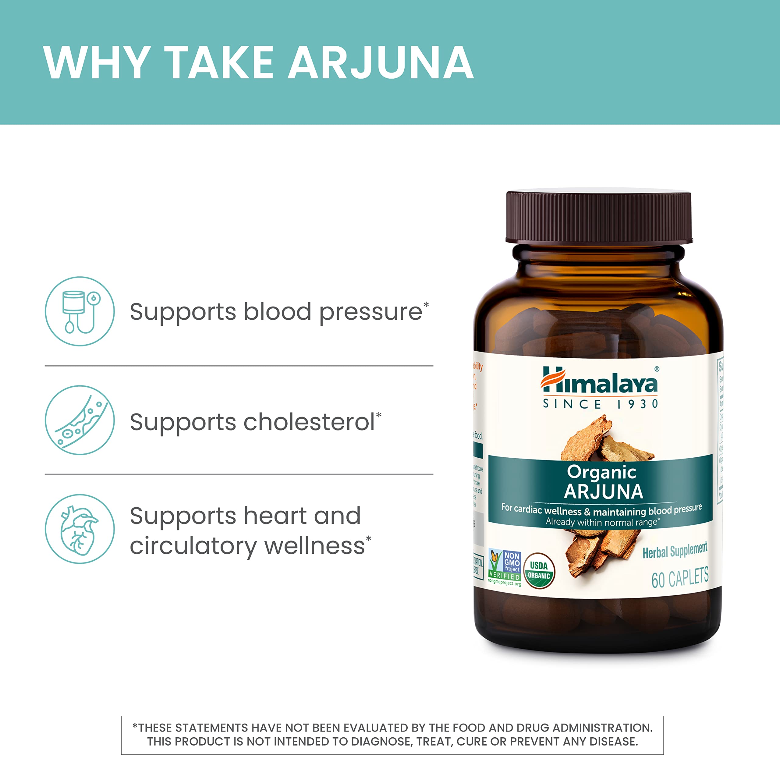 Proceso de extracto estandarizado de Himalaya Arjuna.