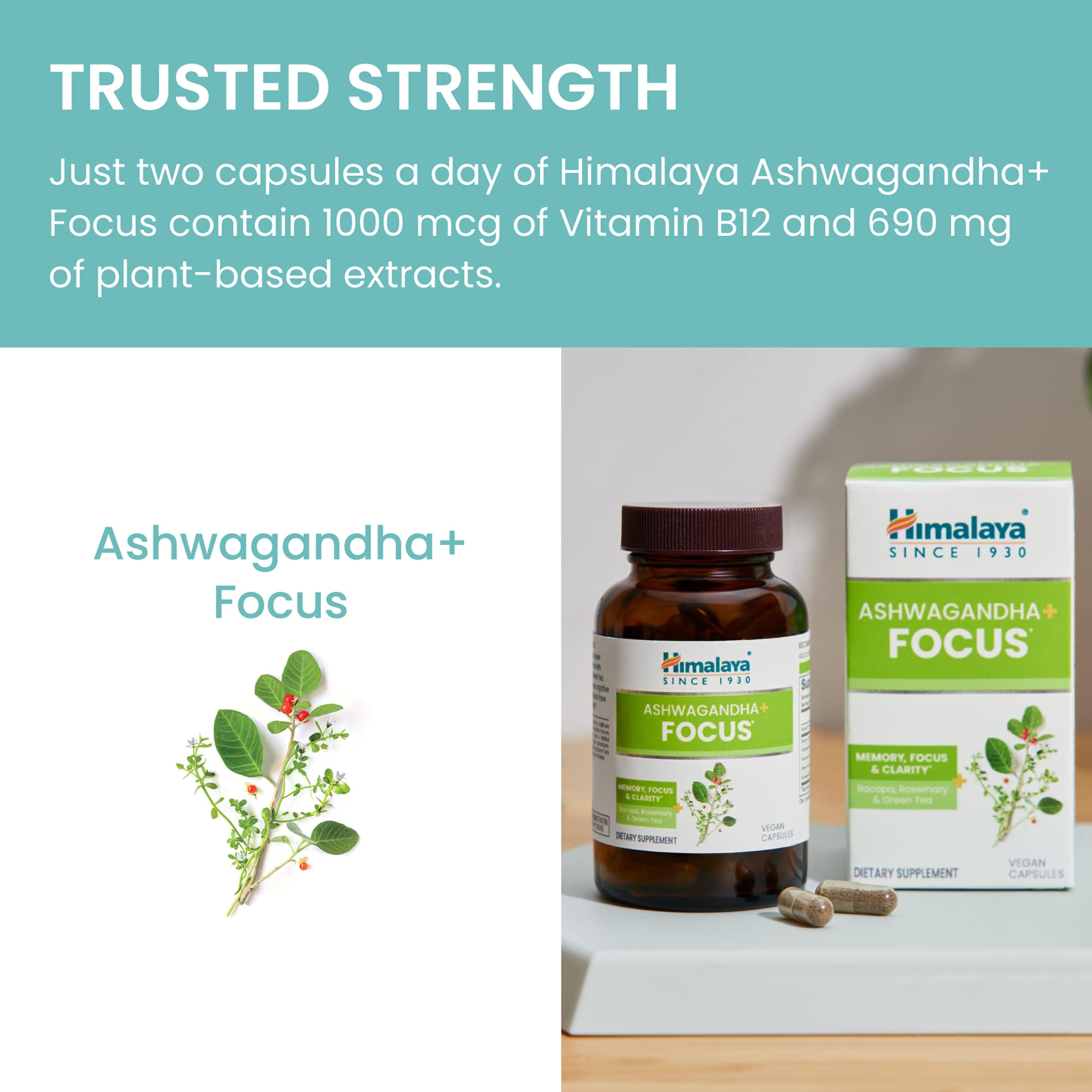 Dosis diaria de 1690 mg de Himalaya Ashwagandha+ Enfoque para soporte cognitivo