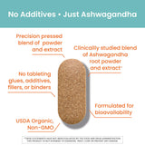 Himalaya Ashwagandha Orgánica: dosis diaria para equilibrio emocional