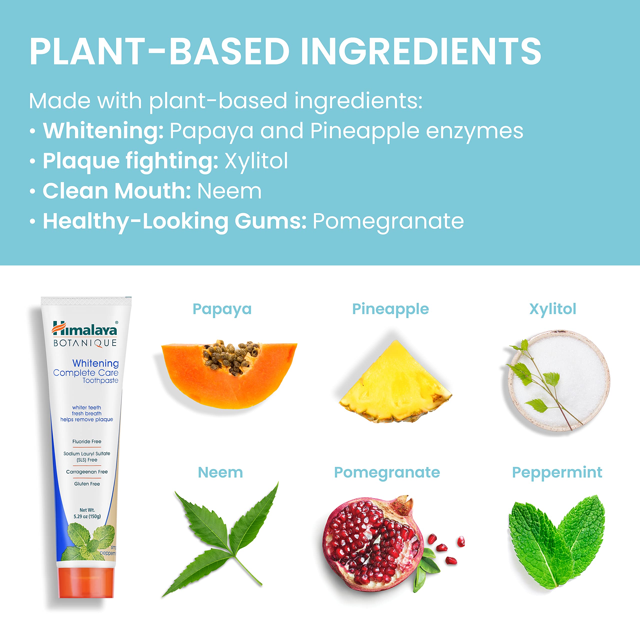 Envase práctico de Himalaya Botanique para familia y uso diario.