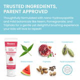 Ingredientes herbolarios Neem y Triphala reforzando el ritual de cepillado.