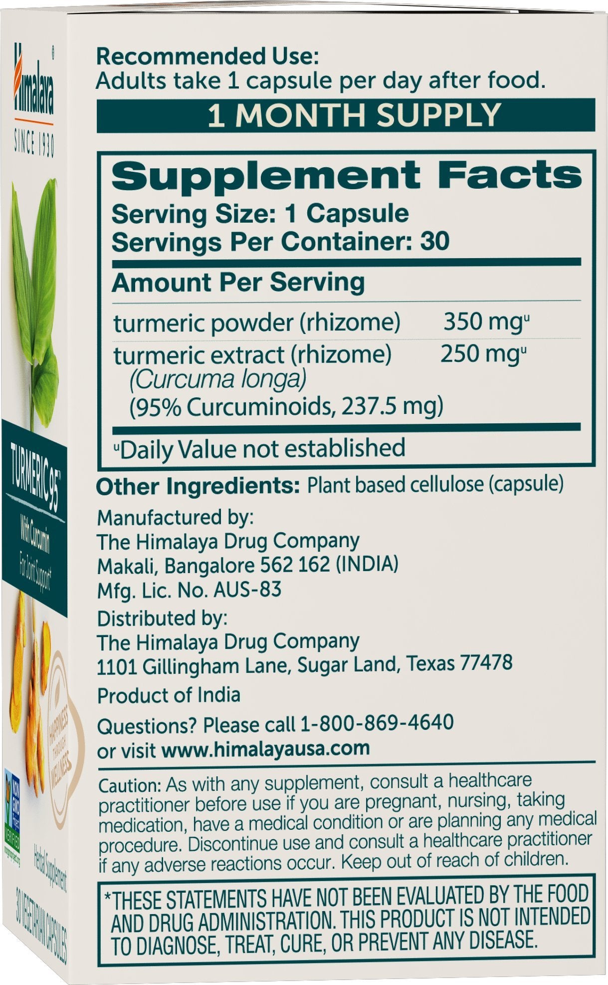 Botella de Himalaya Cúrcuma 95 para consumo diario