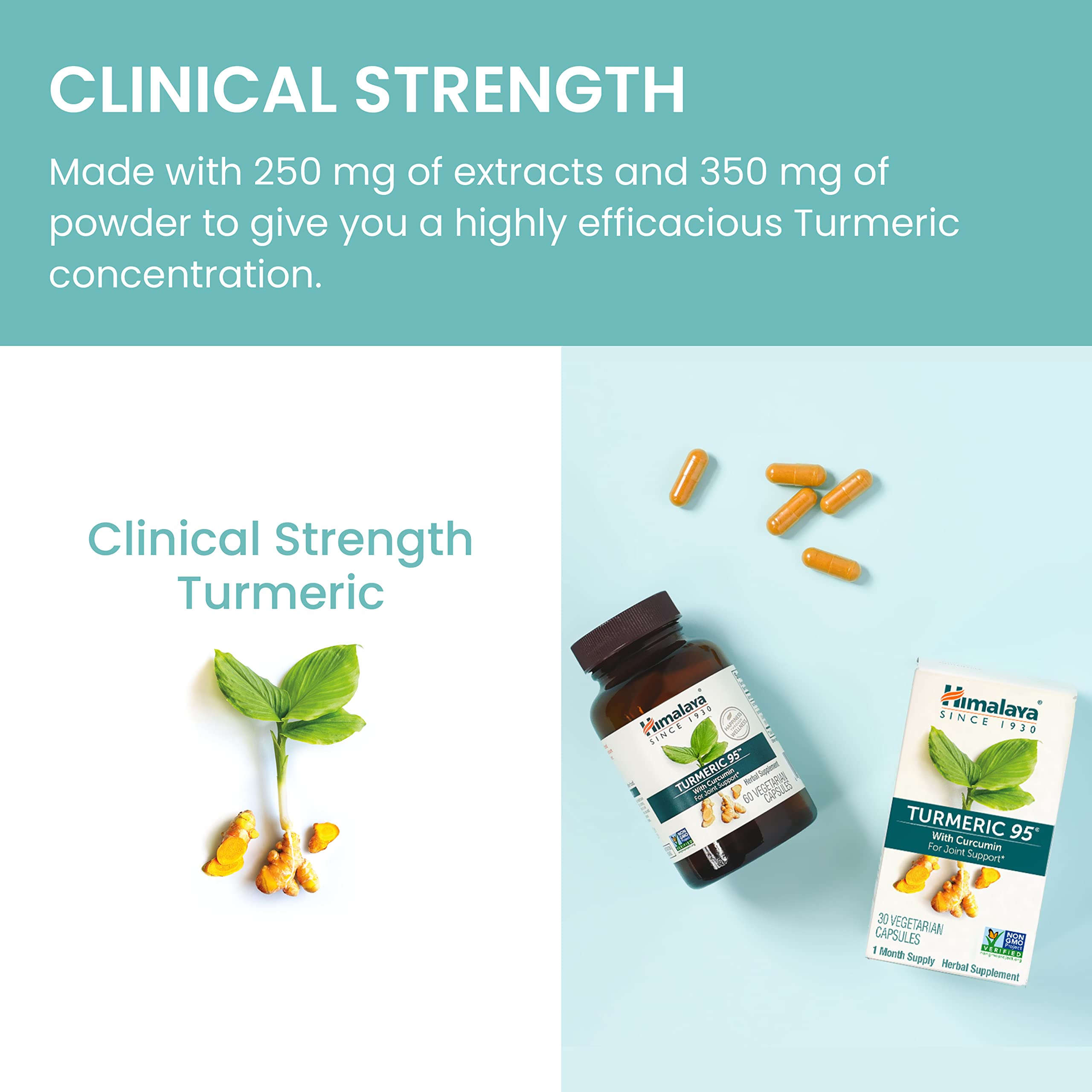 Composición de Himalaya Cúrcuma 95 con 95% curcuminoides